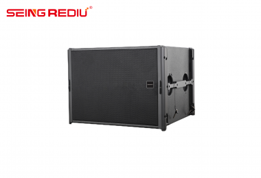线阵列低音扬声器 DS208S/DS210S
